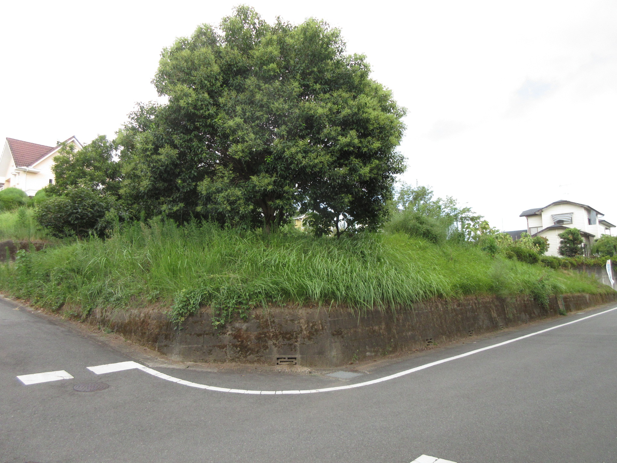 南西角地☆土地広々179坪　泗水町永売地